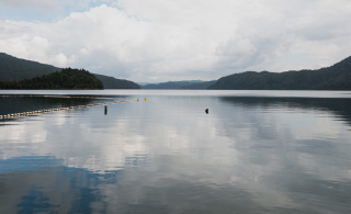 Important Notice: Protecting Lake Ōkataina from Invasive Species