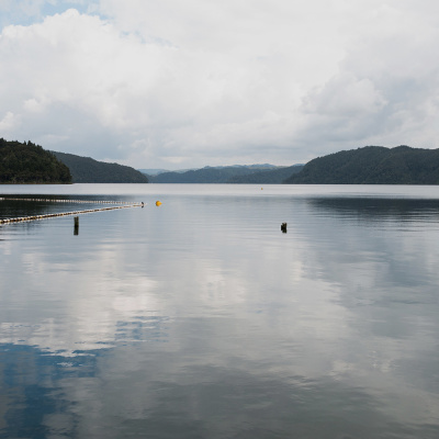 Important Notice: Protecting Lake Ōkataina from Invasive Species